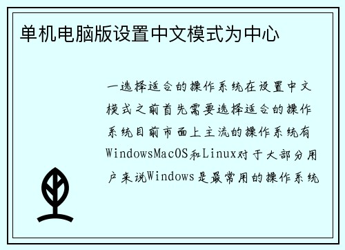 单机电脑版设置中文模式为中心